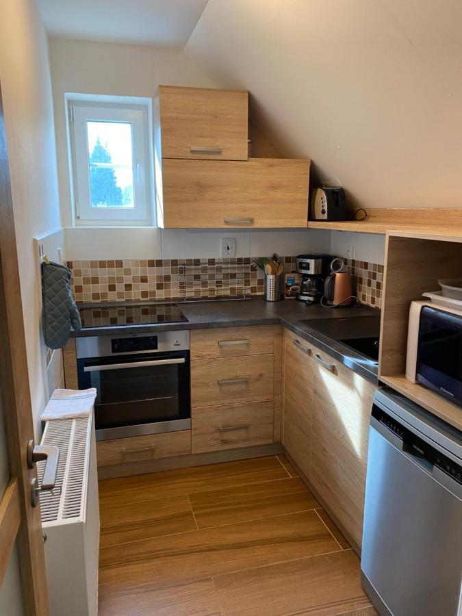 Apartman 430 Destne v Orlickych horach Exterior photo